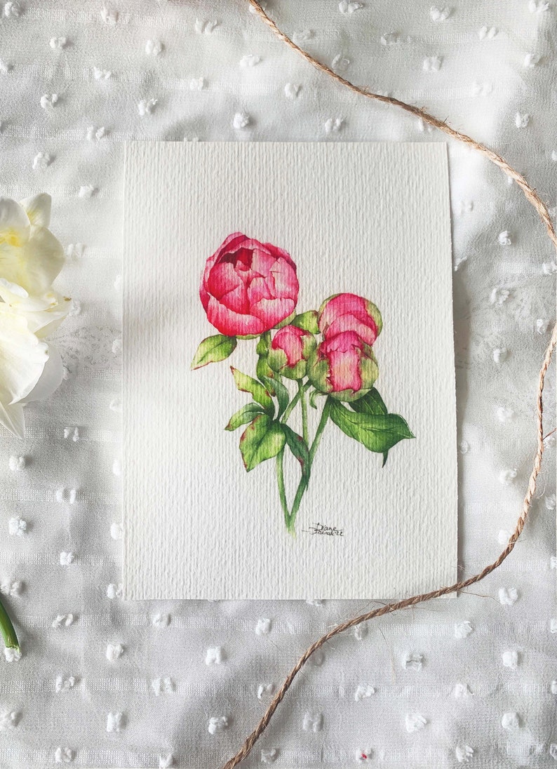 Flower Postcard Set, Card Set, Peony Card Bundle, Postcard Pack, Watercolor Flowers, Gift For Flower Lover, Peony Postcard Set image 4