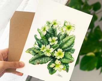 May include: Watercolor painting of a bouquet of white primrose flowers with green leaves. The painting is signed "Diana Burak 22".