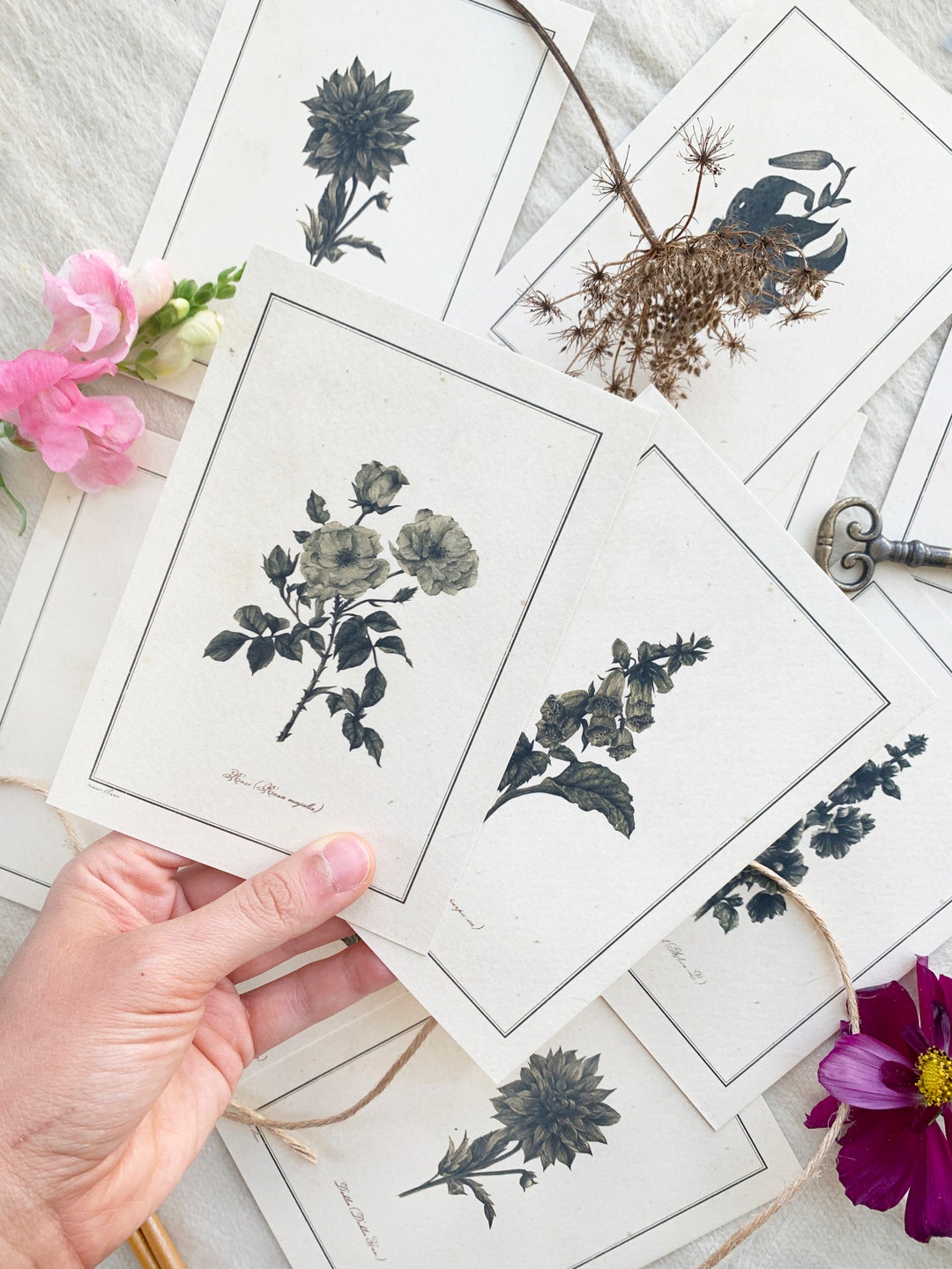Flower Postcard Set of 5, Card Set, Floral Card Bundle, Postcard Pack ...