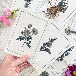 Flower Postcard set of 5, Card Set, Floral Card Bundle, Postcard Pack, Watercolor Flowers, Gift For Flower Lover, Vintage Postcard Set