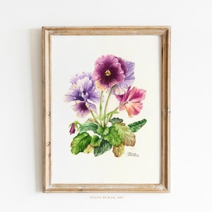 Pittura della viola del pensiero | Pittura botanica originale, acquerello botanico, pittura floreale vintage, regalo unico per gli amanti dei fiori, Git unico