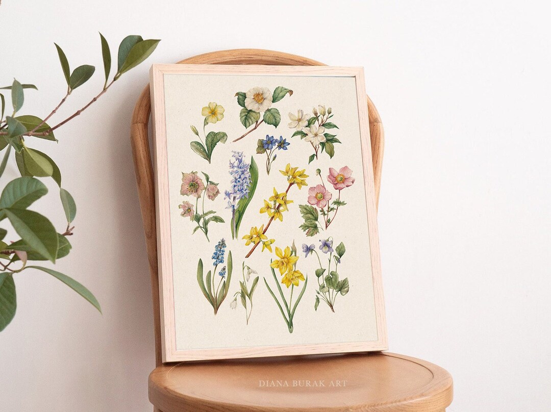 Spring Flowers Art Print, Botanical Illustration, Flower Poster, Flower ...