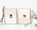 Set of 2 bumblebee prints, bee drawing wall art, gift for bee lover, modern insect art, bumble bee posters, bumblebee illustration poster
