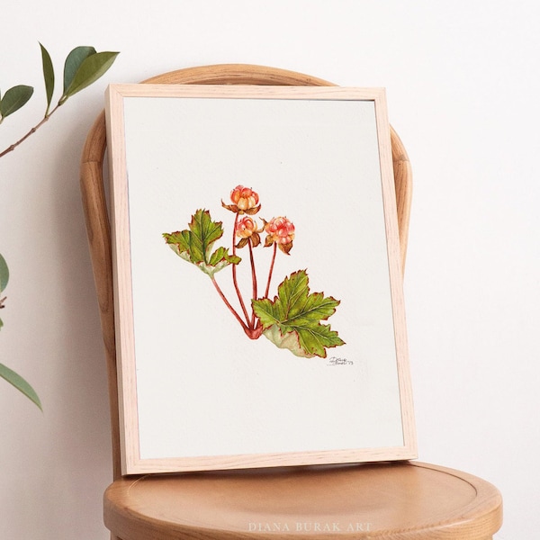 Cloudberry Art Print, Botanical Illustration, Berry Poster, Fruit Wall Art, Woodland Nursery, Watercolor Fruit, Cloudberry Vintage Print