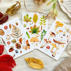 Conjunto de postales de otoño de 3, conjunto de tarjetas, paquete de tarjetas de otoño, paquete de postales vintage, setas de acuarela, regalo para los amantes del otoño, conjunto de postales de otoño