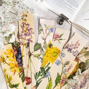 Może przedstawiać: Zestaw zakładek o tematyce botanicznej z ilustracjami kwiatów i owoców. Zakładki prezentują szczegółowe akwarele różnych kwiatów, wiśni i jagód, w stylu vintage. Zakładki ułożone są w kształt wachlarza, z książką i klipsem w tle.