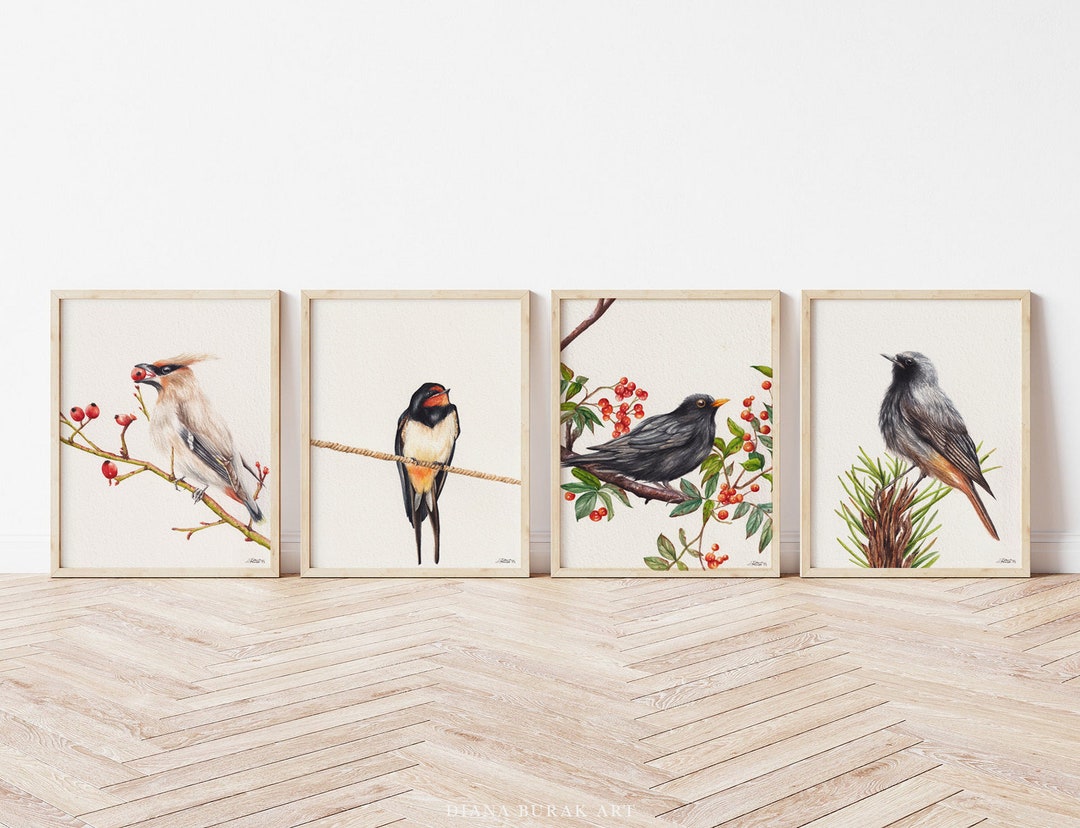 Set of 4 Birds Prints, Bird Drawing Wall Art, Gift for Birds Lover