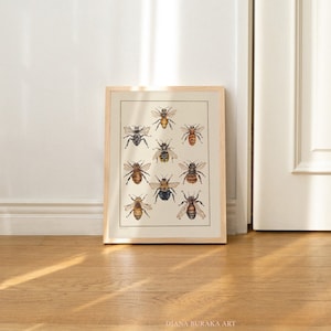 Bienendruck, Hummeldruck, Bienenzeichnungswandkunst, Geschenk für Bienenliebhaber, Vintage-Insektenkunst, Hummelplakate, Bienenillustrationsplakat, Bienenkarte