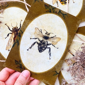 Ensemble de cartes postales d’abeilles de 4, ensemble de cartes, paquet de cartes vintage, pack de cartes postales, abeilles aquarelles, cadeau pour apiculteur, ensemble de cartes postales d’insectes, Save the Bees