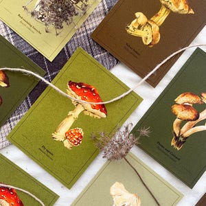 Lot de 4 cartes postales Champignons, lot de cartes, lot de cartes Champignons, paquet de cartes postales, champignons aquarelles, cadeau pour les amoureux de l'automne, ensemble de cartes postales vintage