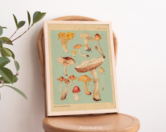 Mushroom Art Print, vintage botanische illustratie, bosposter, kunst aan de muur paddenstoel, boskwekerij, aquarelpaddestoelen, herfst vintage print