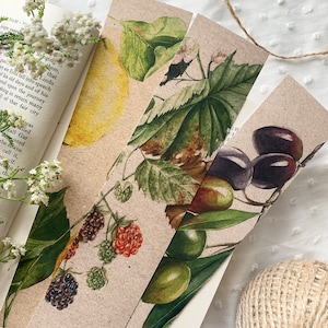 Set of 3 Fruit Bookmarks, Book Lovers Gift, Vintage Bookmark, Botanical Bookmark, Paper Bookmark, Reader Read Bookmark, Book Accesories
