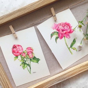 Flower Postcard Set, Card Set, Peony Card Bundle, Postcard Pack, Watercolor Flowers, Gift For Flower Lover, Peony Postcard Set image 1