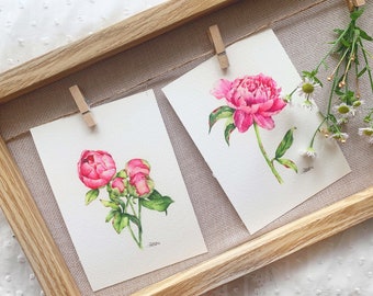 Flower Postcard Set, Card Set, Peony Card Bundle, Postcard Pack, Watercolor Flowers, Gift For Flower Lover, Peony Postcard Set