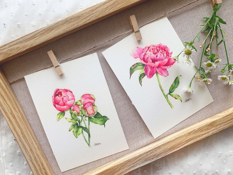 Flower Postcard Set, Card Set, Peony Card Bundle, Postcard Pack, Watercolor Flowers, Gift For Flower Lover, Peony Postcard Set image 1