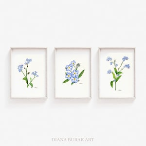 Forget-me-not Prints Set of 3, Blue Flowers Wall Art, Set of 3 Flower Posters, Flower Wall Art, Set of 3 Flower Prints,Gift for flower lover