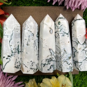Tree Agate Towers