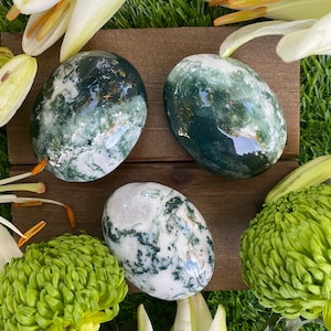Moss Agate Palm Stones