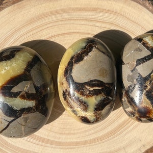 Septarian/Dragon Stone Palm Stone ( UV Reactive )