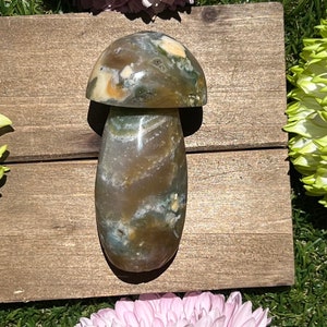 Sea/Ocean Jasper Mushroom