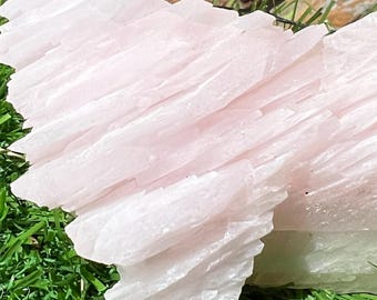 May include: A cluster of pale pink selenite crystals. The crystals have a layered, textured appearance and are arranged in a fan-like formation. The crystals are resting on a bed of green artificial grass.