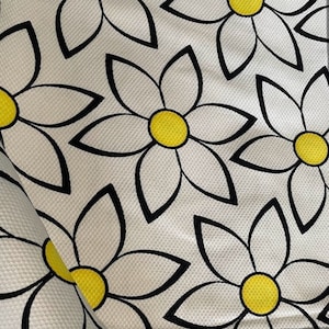 Daisies on White