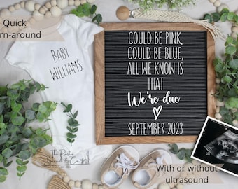Digital Pregnancy Announcement / Pregnancy Reveal / Social Media / Gender Neutral / Facebook /  Boho / Could be Pink or Blue were due