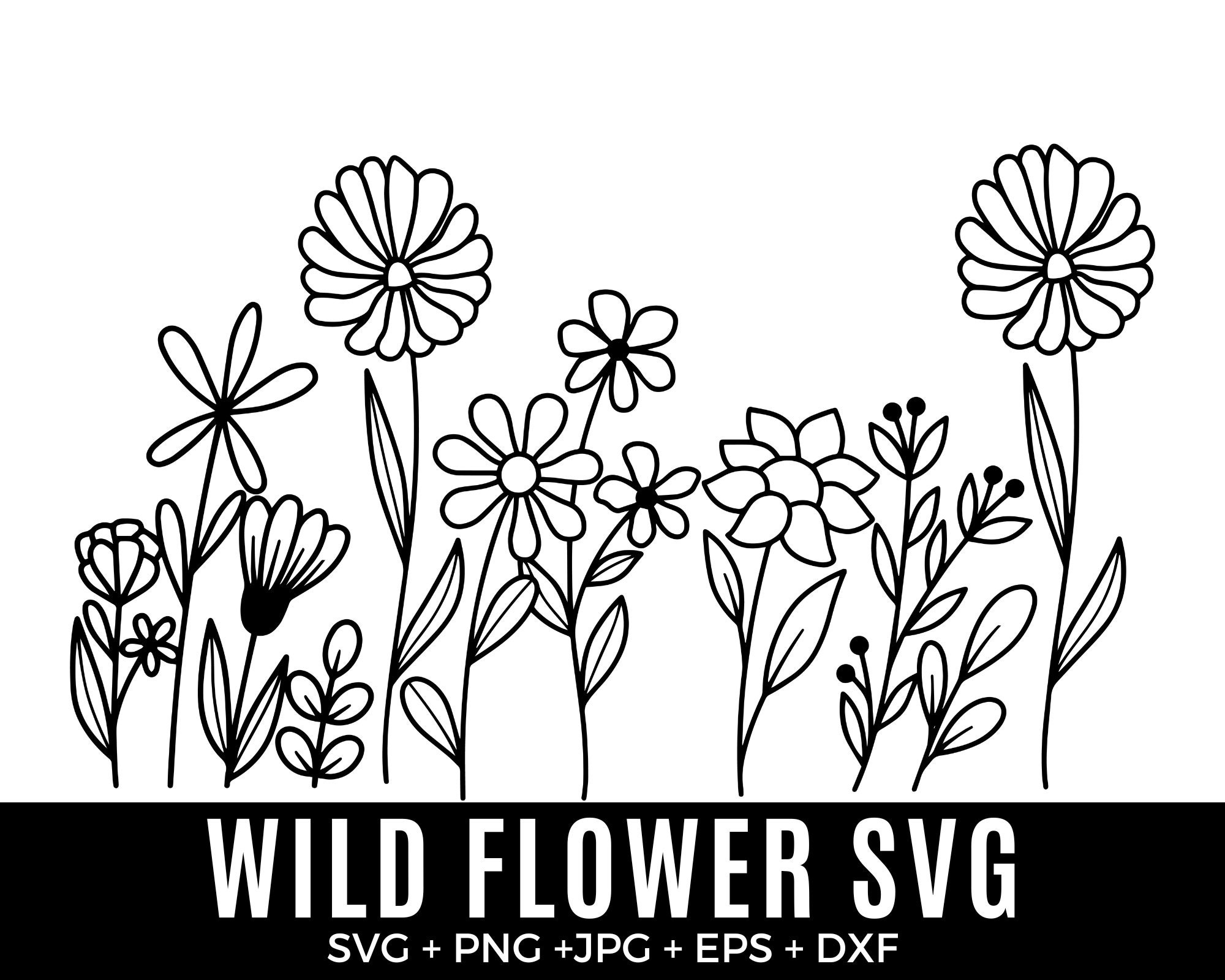 Wild Herbs. Wildflowers in Summer. Vector Color Flowers Clipart -   Denmark  Цветочное искусство, Цветы акварелью, Ботанические рисунки