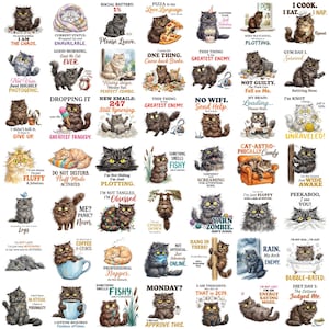 May include: A collection of forty-nine individual illustrations featuring fluffy cats in various poses and expressions, each paired with humorous text captions such as I am the chaos, Not vain just highly photogenic, and Diet day 1 the lettuce judged me.
