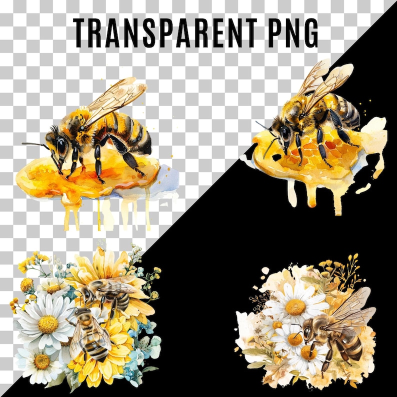 May include: Watercolor illustration of two bees collecting honey from a honeycomb. The bees are yellow and black with brown stripes. The honeycomb is dripping with honey. The illustration is set against a white background with a transparent overlay.