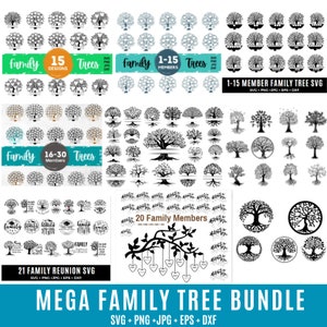 Árvore genealógica com ramos svg bundle, Family Tree Heart SVG, Family reunion svg,Family tree png, Family tree branch svg, Tree of life svg