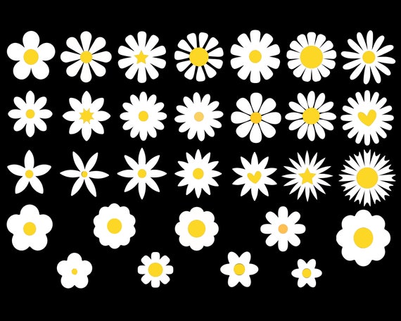 Daisy SVG Bundle, Flower Svg, Floral SVG, Spring Summer Svg