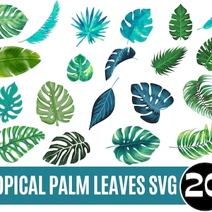 Tropical palm leaf svg, monstera leaf svg, commercial use svg, jungle leaves clipart, palm branch svg, tropical party decor svg