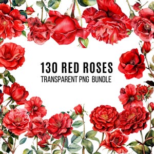 100 rote Rosen Clipart Bundle, Aquarell Blumen Clipart, rote und blush Blumen PNG, Hochzeit Blume Png, digitaler Download