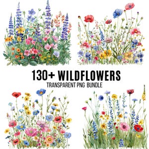 Plus de 130 cliparts fleurs sauvages, aquarelle de fleurs, aquarelle de fleurs sauvages Png, prairie de fleurs sauvages, album de coupures, journal indésirable, téléchargement numérique