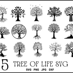 Tree of Life SVG, stamboom Svg bundel, boomwortels svg, familiereünie SVG, stamboomtak, boom met wortels afdrukbare, gesneden bestand Cricut