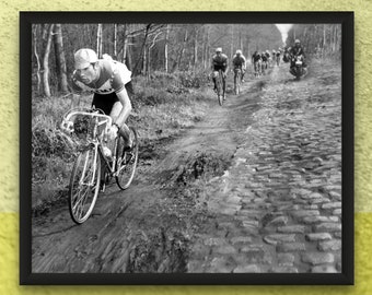 Eddy Merckx, Paris-Roubaix 1969, 8 x 10 Cycling Photo Print