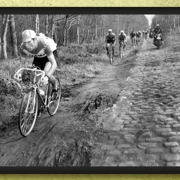 Eddy Merckx, Paris-Roubaix 1969, 8 x 10 Cycling Photo Print