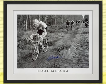 Eddy Merckx Signed Print - Paris-Roubaix 1969, 20 x 16 inch Cycling Photo, Limited Edition