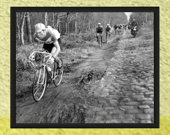 Eddy Merckx, Paris-Roubaix 1969, 8 x 10 Cycling Photo Print