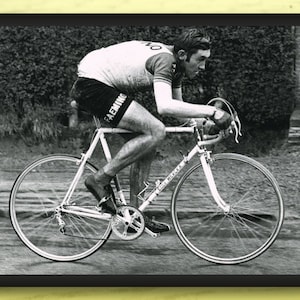 Eddy Merckx, Paris-Roubaix 1970, 8 x 10 Cycling Photo Print