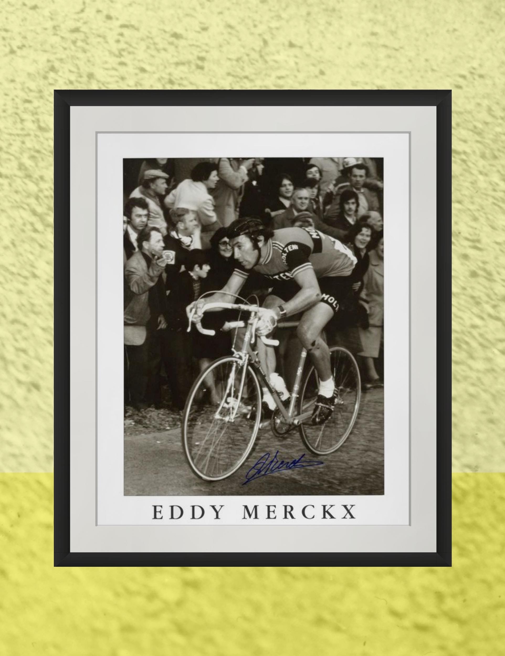 Pelforth Sauvage-Lejeune 1963 Tour de France Squad