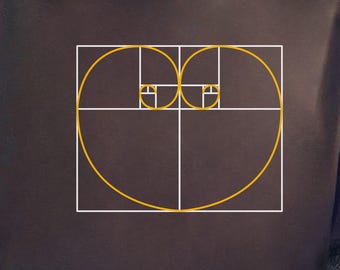 Fibonacci spiral heart shirt, Golden ratio love tee, Math t-shirt
