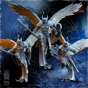 Stormwolf Elite Valkyrie Guards / Modèle de table / Figurine miniature | Les miniatures des spectateurs