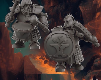 Enanos especialistas de las Tierras del Vacío