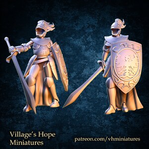 May include: Two 3D printed miniature figures of knights in full armor, one holding a sword and the other holding a shield with a stylized eagle design. The figures are painted in a light gray color and are posed in a dynamic stance. The text "Village's Hope Miniatures" and "patreon.com/vhminiatures" is visible at the bottom of the image.