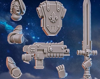 Stormpride Sisterhood Bits Kit / Modelo de mesa / Miniatura de Wargaming / DakkaDakka