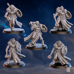 Stormpride Sisterhood Icewall Squad / Tabletop Model / Wargaming Miniature | DakkaDakka