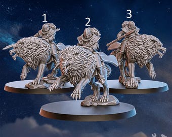 Stormpride Wolf Rider Squad / Tabletop Model / Wargaming Miniature | DakkaDakka