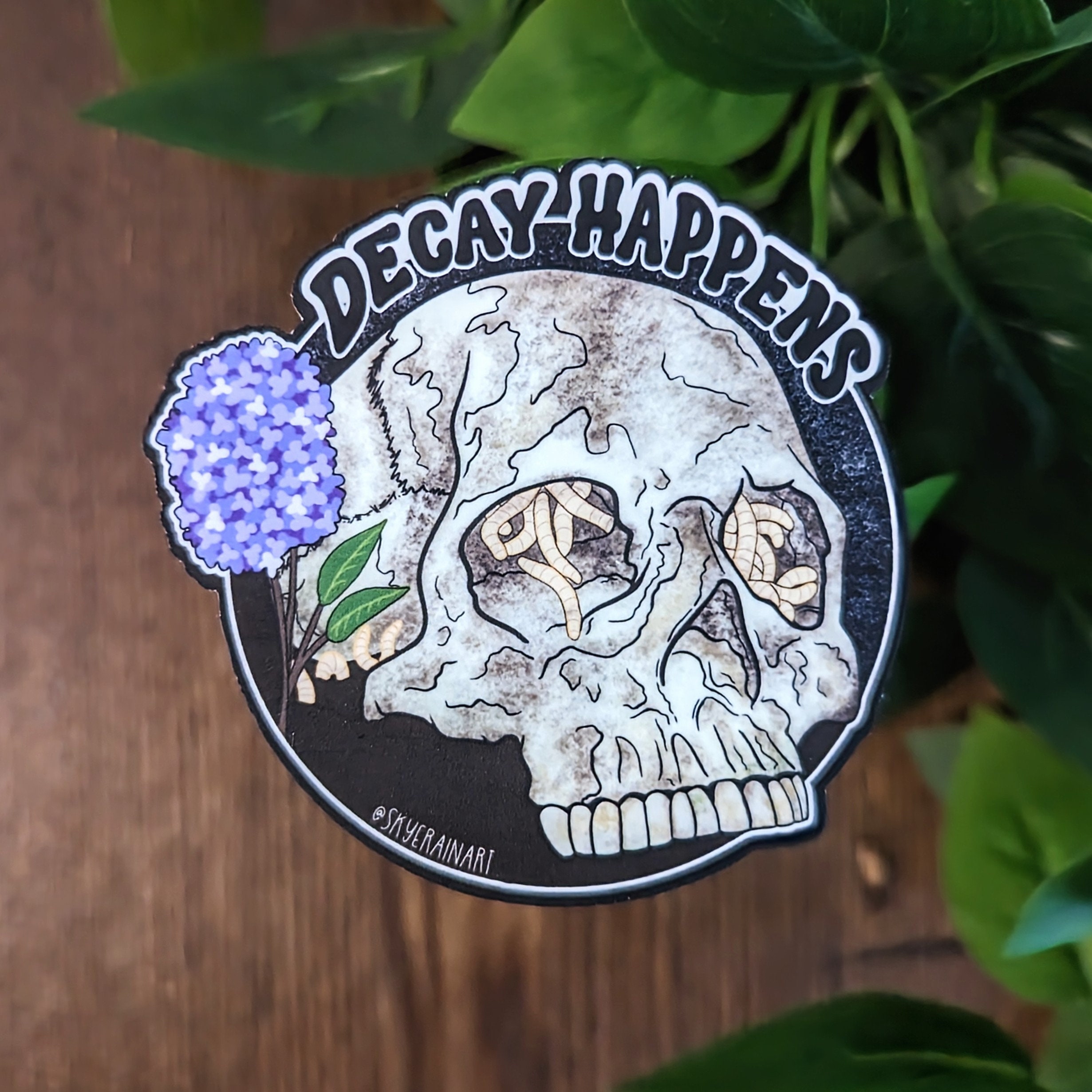 Decay Happens Skull Sticker or Magnet: Morbid Anatomy Art